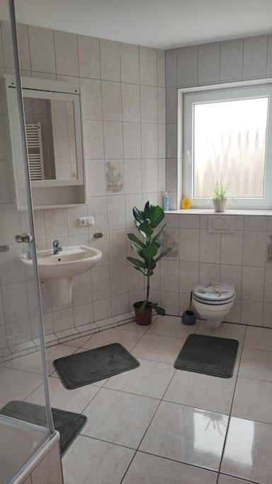 Hehlentor-City Gaeste Wohnung Celle Exterior foto